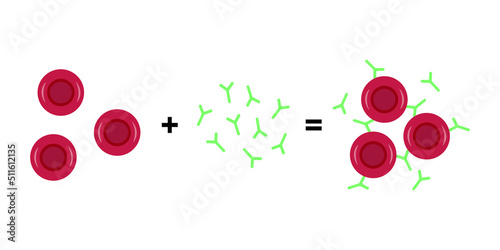 Scientific Designing of Hemagglutination. Clumping of Red Blood Cells. Colorful Symbols. Vector Illustration.