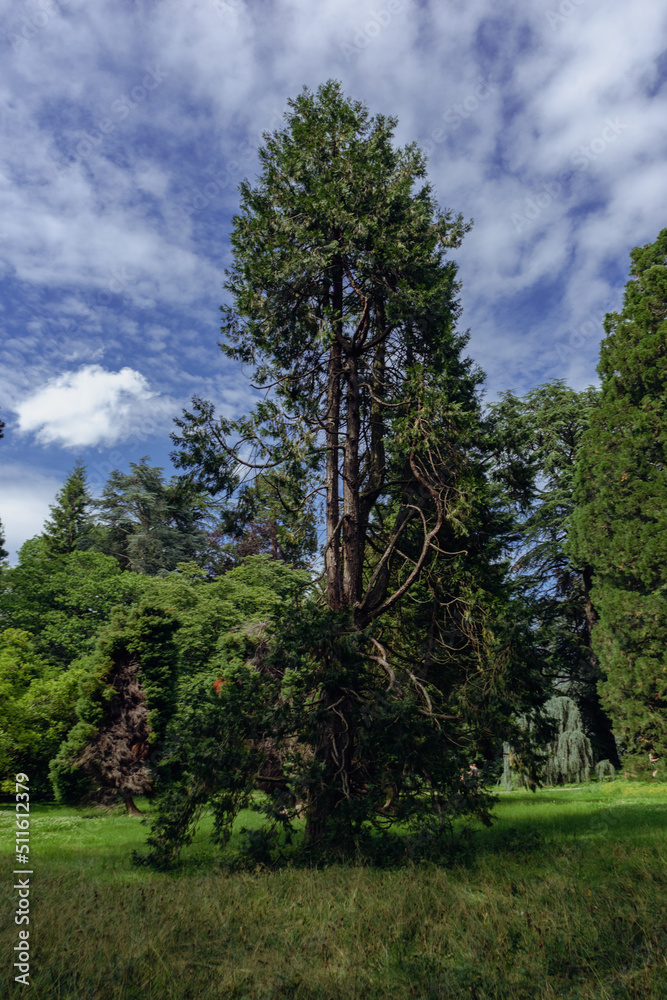 Arboretum Arboretum