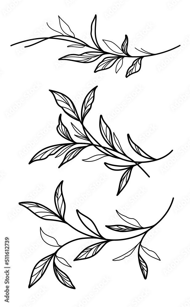 branch with leaves stem vector svg black and white editable outline ...