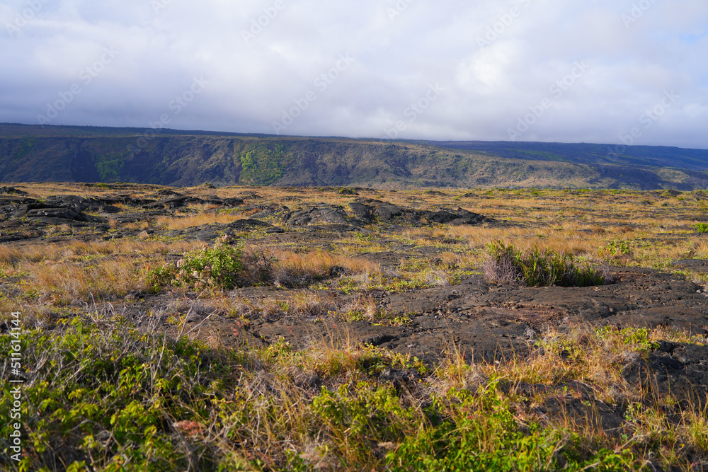 Lava field on the slopes of the Kilauea volcano along the Chain of Craters Road in the Hawaiian Volcanoes National Park on the Big Island of Hawai'i in the Pacific Ocean