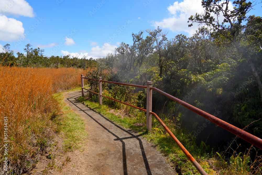 Fototapeta premium Steam vents along the Crater Rim Trail around the Kilauea volcano in the Hawaiian Volcanoes National Park on the Big Island of Hawai'i in the Pacific Ocean