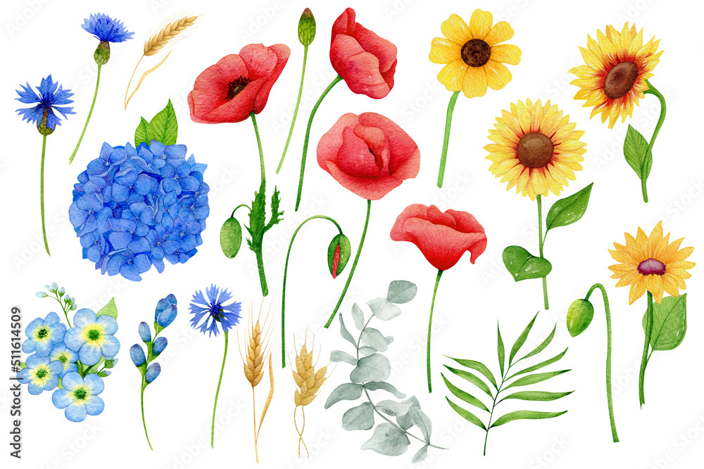 Watercolor Blue , Yellow, Red flowers clipart, Ukraine floral clipart. Sunflowers and Poppies set