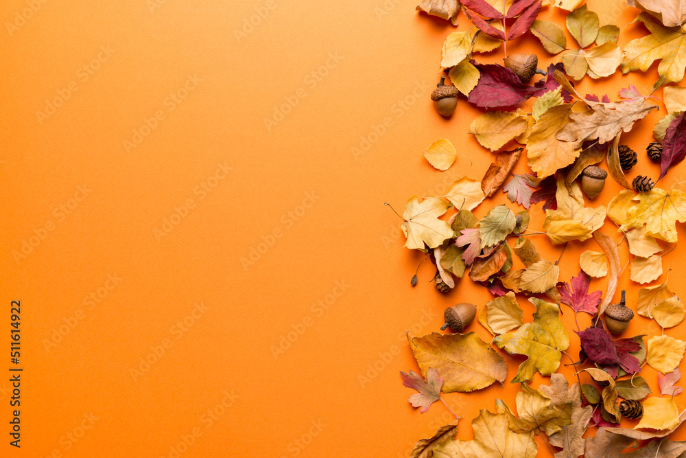 Autumn composition. Pattern made of dried leaves and other design accessories on table. Flat lay, top view Autumn composition. Pattern made of dried leaves and other design accessories on table. Flat lay, top view
