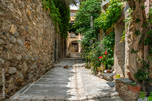 A domestic cat lounges in a narrow alley in the charming medieval village of Grimaud, France, in the Provence Cote d'Azur.