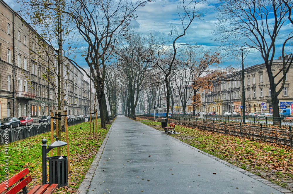 Naklejka premium Footpath in park in Krakow