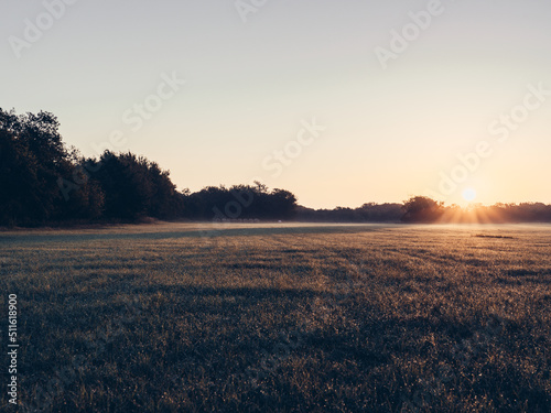 Early Morning Hay Meadow