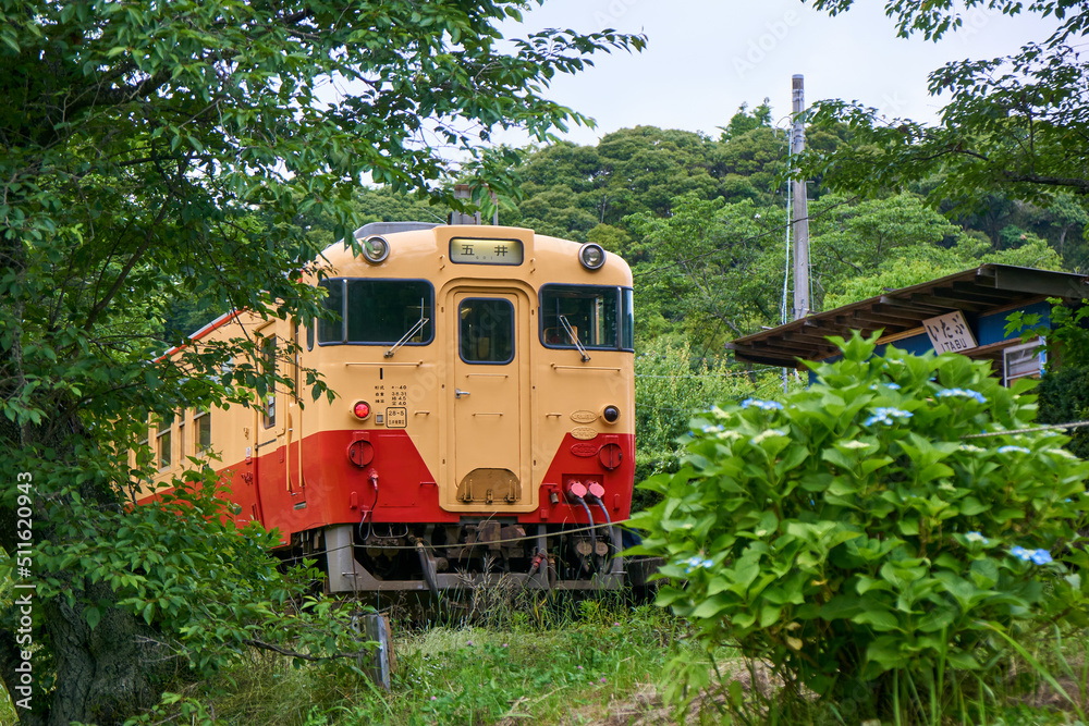 新緑の飯給駅とキハ40　小湊鉄道