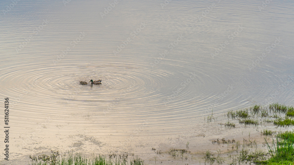 Fototapeta premium Concentric circles of love