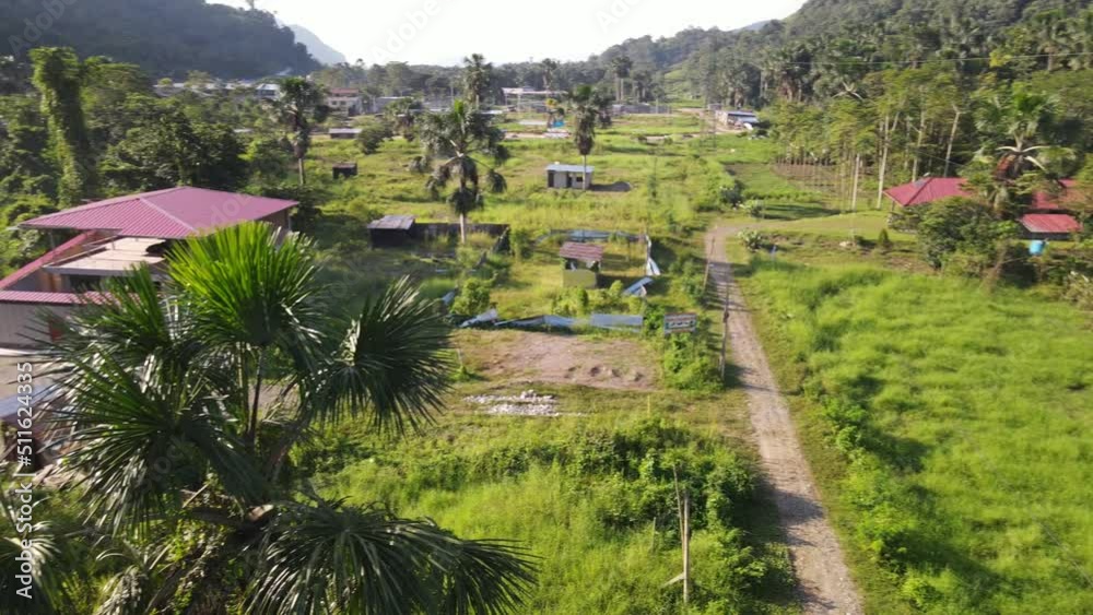 NUEVA CIUDAD EN NARANJILLO TINGO MARIA