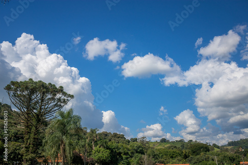 clouds over the forest
