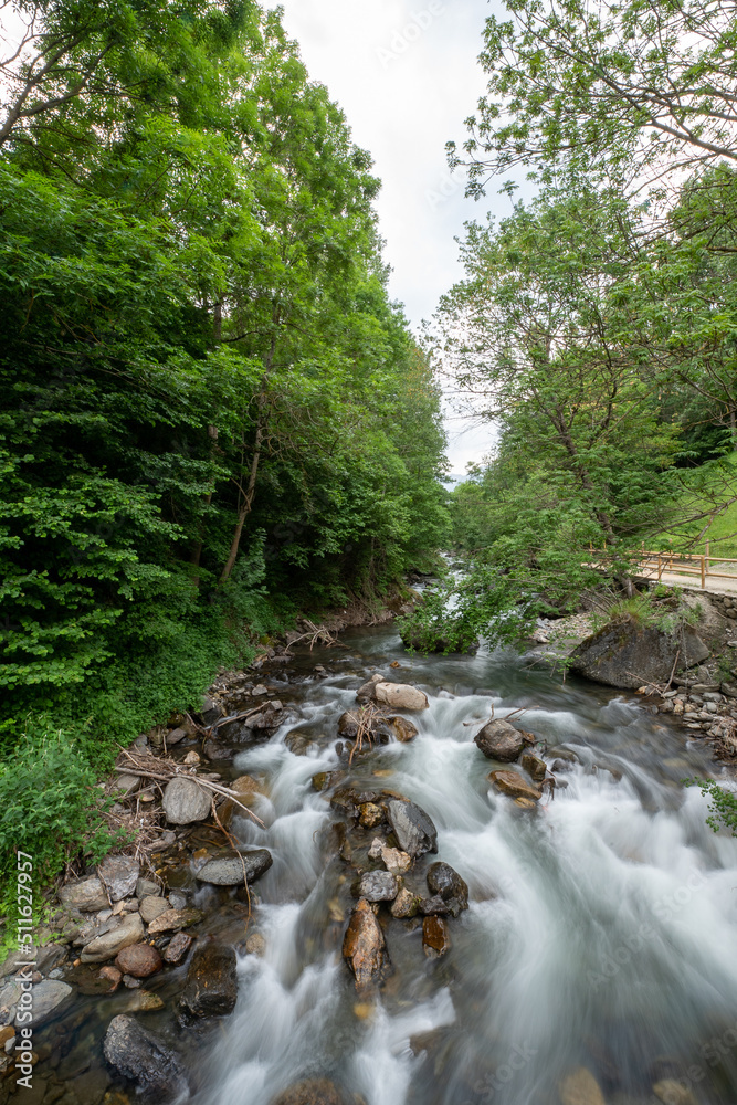 Obraz premium Valira del Orient river in Cami Ral La Massana in summer in Andorra