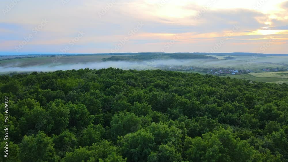 Aerial view of dark green lush forest with dense trees canopies in summer Aerial view of dark green lush forest with dense trees canopies in summer