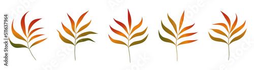 Vector set of gradient leaves branch.Floral design element.