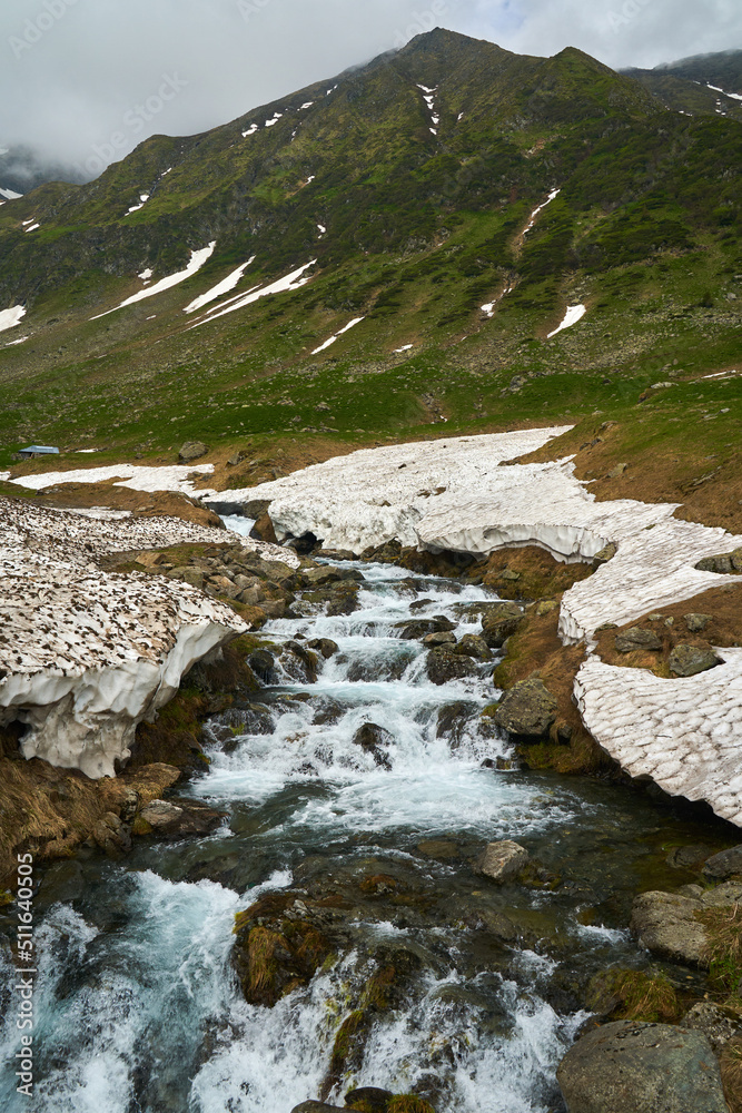 Fototapeta premium Mountain river in the early summer