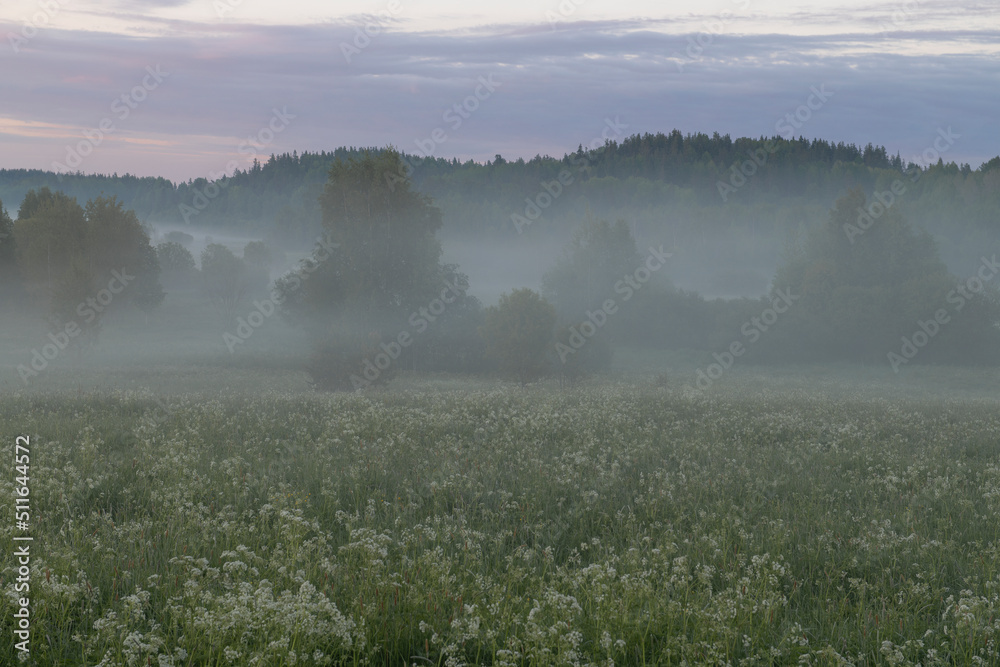 Foggy June dawn in Karelia. Russian Federation