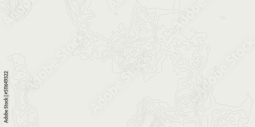 Abstract topographic contours map background. Vector geographic contour map. topography map background. White wave paper curved reliefs abstract background. 