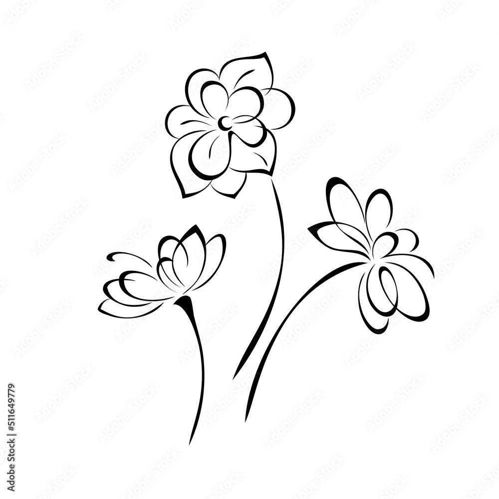 ornament 2356. stylized flowers of the same family on a short stem. graphic decor, set