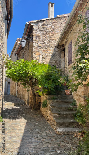 Minerve, cité historique, haut-lieu cathare d'Occitane en Languedoc-Roussillon : village, ruelles, remparts, canyon, colombe © YUMMI