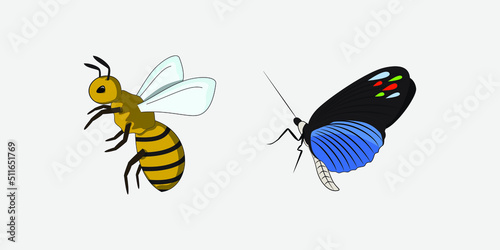 insect illustration book © Yanart92
