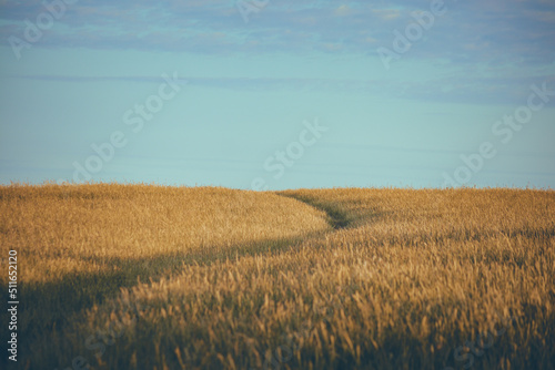 English countryside and nature 