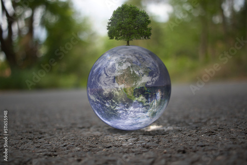 Planet - Erde - Natur - Baum - Earth - Ecology - Bioeconomy - Lensball - High quality photo - A closeup of lensball with reflection of planet on ground