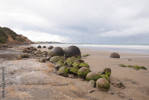 Fototapeta Sea and smooth round rocks on an overcast day at Moeraki Boulder Beach