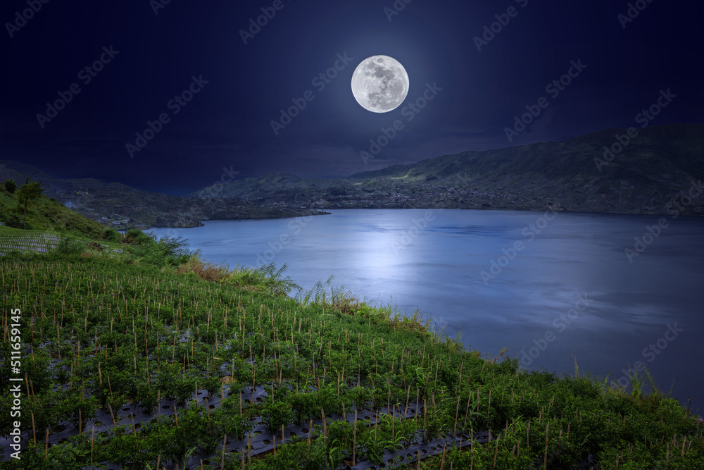 Fototapeta premium view of the mountains and lake