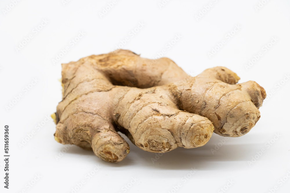 Fresh ginger isolated on white background, herb medical concept