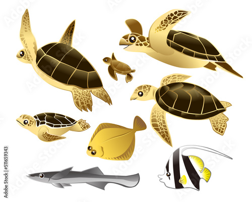 ウミガメと魚
