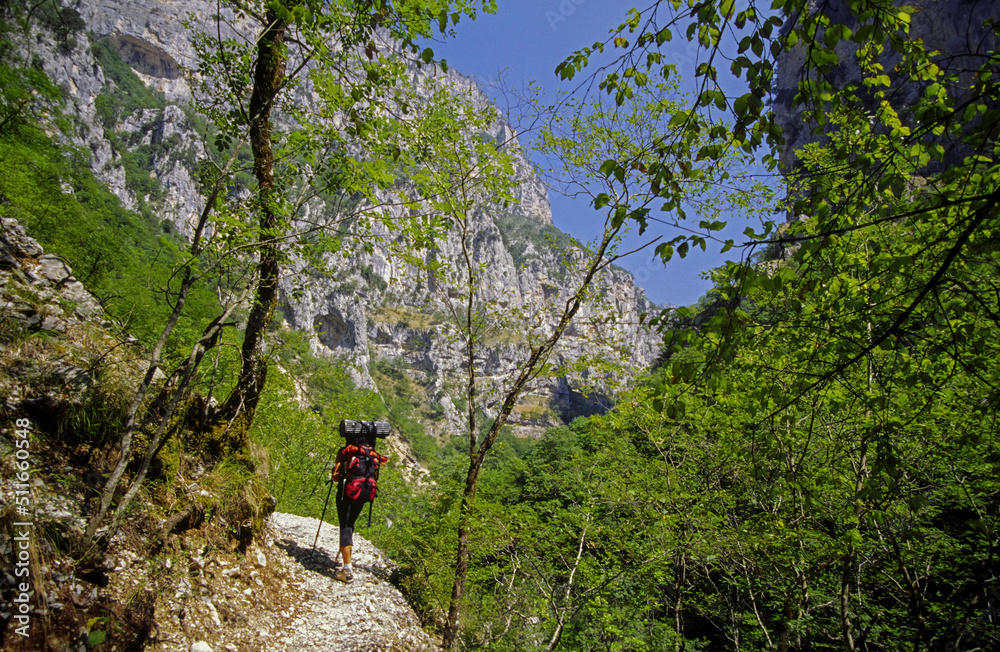 Desfiladero de Vikos.Parque nacional Vikos-Aoös. Monodendri. Epiro.Grecia Desfiladero de Vikos.Parque nacional Vikos-Aoös. Monodendri. Epiro.Grecia