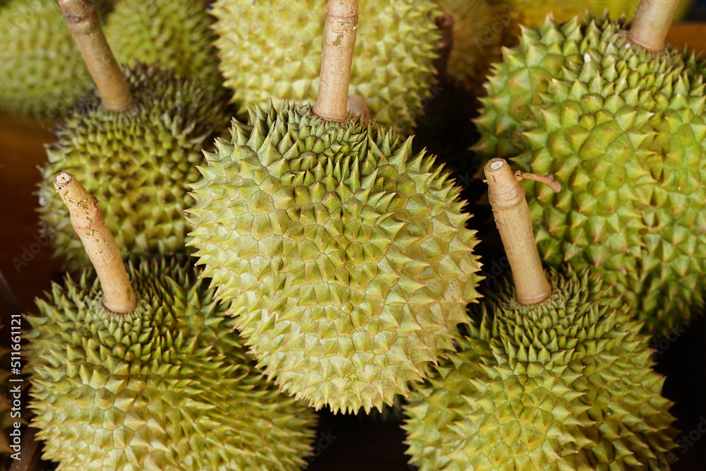background of ripe durian fruits pile for sell,durian is seasonal fruit,a king of fruit and important economic crop in Thailand background of ripe durian fruits pile for sell,durian is seasonal fruit,a king of fruit and important economic crop in Thailand