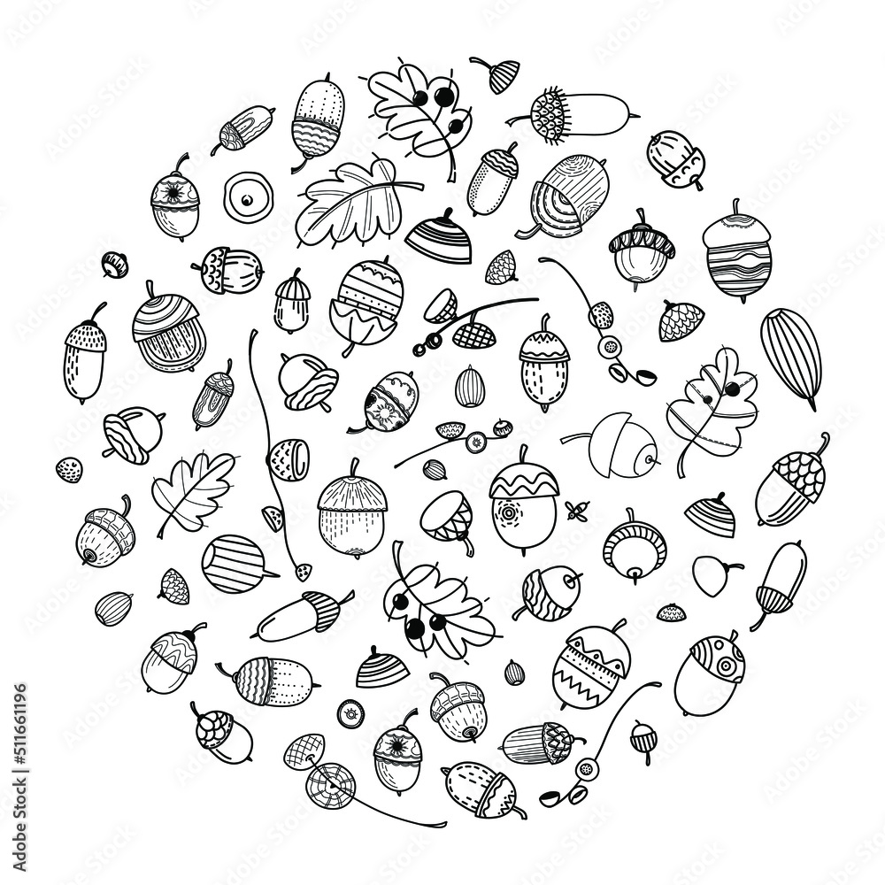 Big vector set of stylized acorns and oak leaves Big vector set of stylized acorns and oak leaves