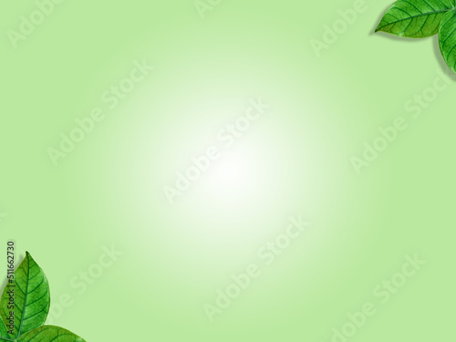 Green leaf frame isolated on white background with space to insert text.