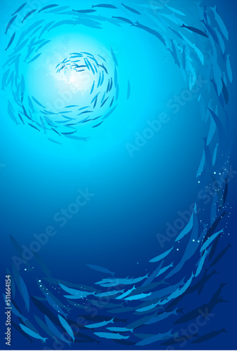 School of fish swimming under water of sea. School barracuda fish swims in underwater. Group of barracuda Fish, vector