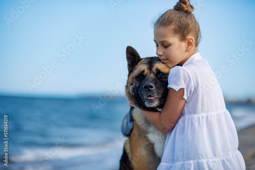 Fototapeta Naklejka Na Ścianę i Meble -  Teenage girl in light clothes hugs and loves dog friend of Akita Inu breed on beach near Black Sea in warm sunny weather