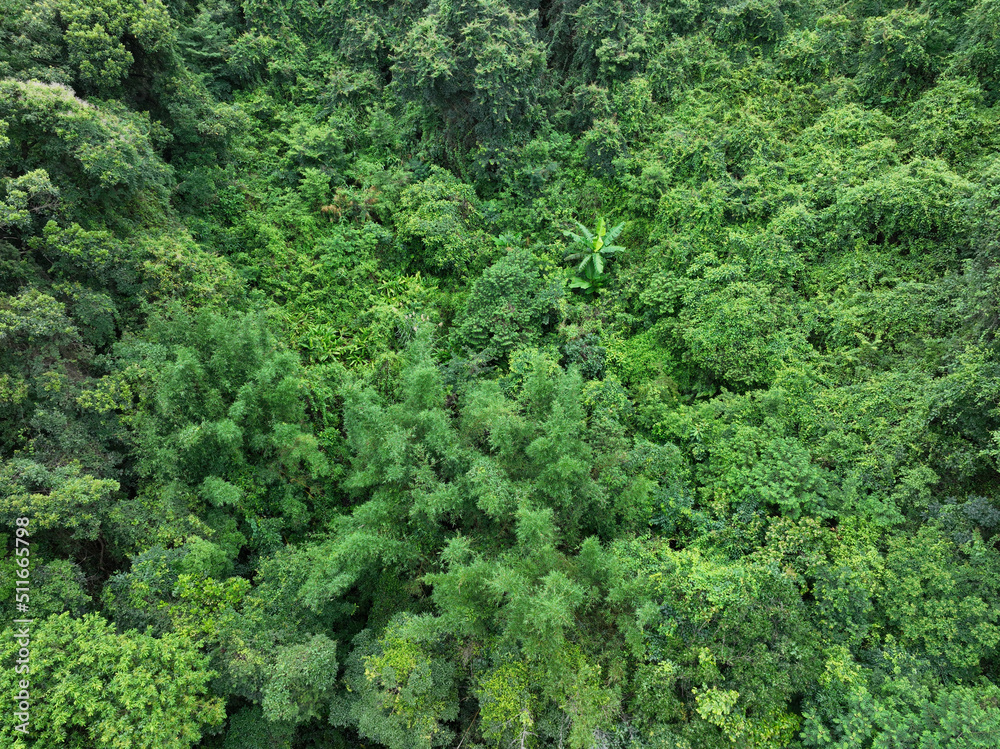 Aerial view of beautiful forest mountain landscape Aerial view of beautiful forest mountain landscape