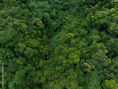 Aerial view of beautiful forest mountain landscape