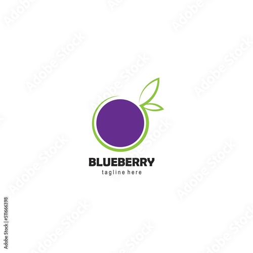 blueberry logo.