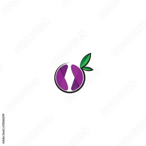 blueberry logo.