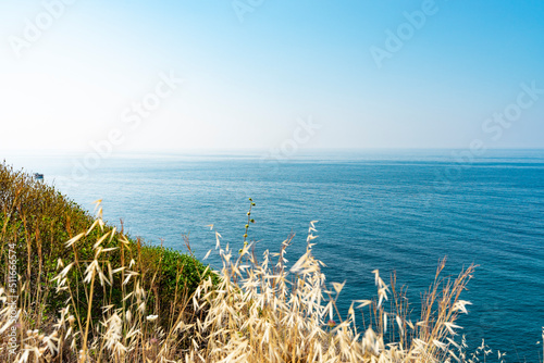 The coast and beaches of Turkey Alanya. Landscape of the seashore from a height. Vacation on the beach in Turkey
