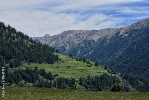 Almwiese mit Bäumen und Bergpanorama © joerghartmannphoto