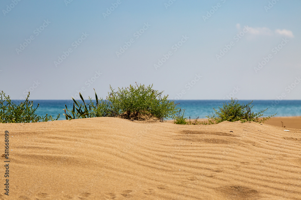 Looking out over sand dunes toeards the sea, along the Karpas Peninsula in Cyprus