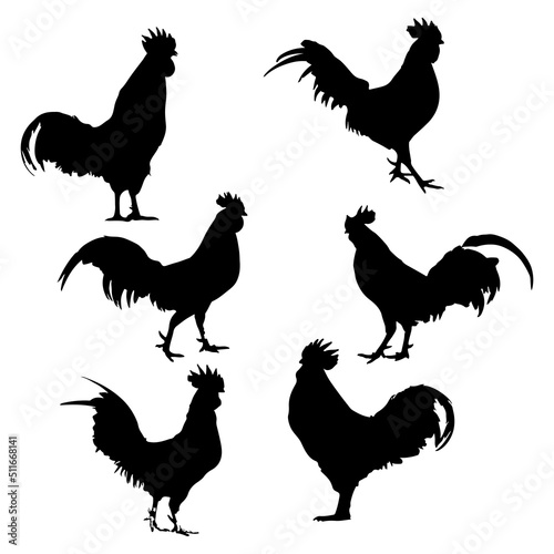 Rooster Isolated Silhouette Vector Illustration