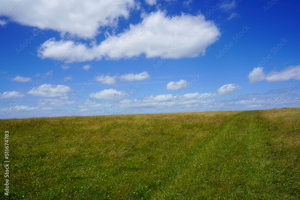 View of a grass field and blue sky's with clouds View of a grass field and blue sky's with clouds