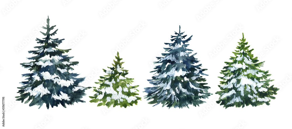 Watercolor pine tree on the white background. logo organic green pine tree image. green tree abstract. color element drawing. design template. watercolor invitation floral decoration. garden foliage Watercolor pine tree on the white background. logo organic green pine tree image. green tree abstract. color element drawing. design template. watercolor invitation floral decoration. garden foliage