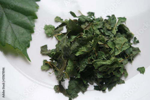 桑の葉茶
