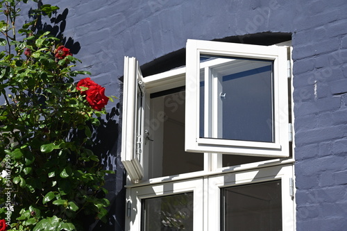 Geöffnetes Fensteroberlicht in grauer Hausfassade mit leuchtend  roten Kletterrosen