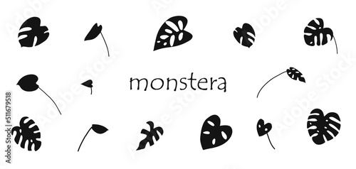 Flat silhouette set of houseplant