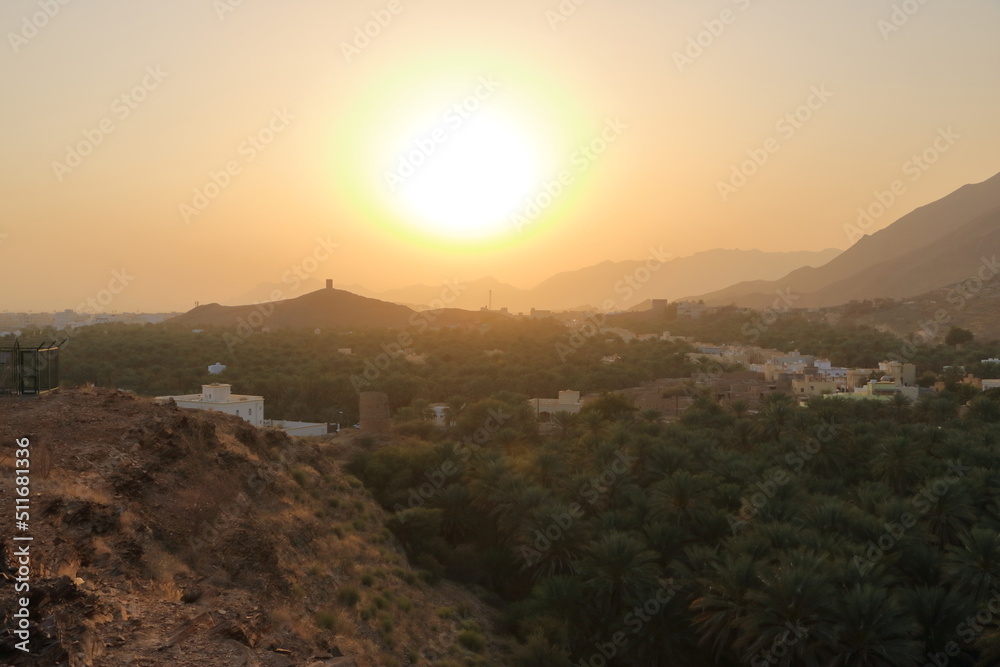 Birkat Al Mouz Ruins and a valley of palm trees Birkat Al Mouz Ruins and a valley of palm trees