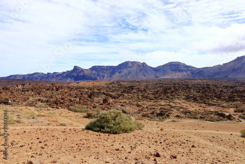 Teide National Park on Tenerife, with lava fields and the Teide volcano